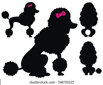 Poodle  dog vector silhouettes