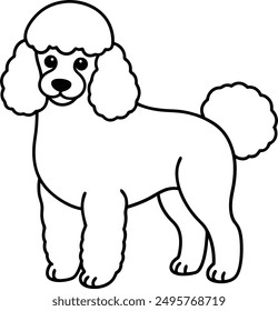 Pudel Hund, Vektorformat, Clipart , Illustration mit weißem Hintergrund