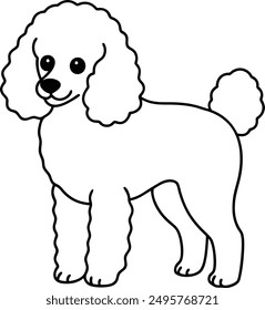 Pudel Hund, Vektorformat, Clipart , Illustration mit weißem Hintergrund