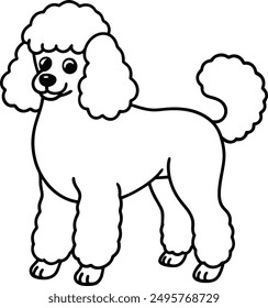 Pudel Hund, Vektorformat, Clipart , Illustration mit weißem Hintergrund