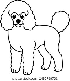 Pudel Hund, Vektorformat, Clipart , Illustration mit weißem Hintergrund