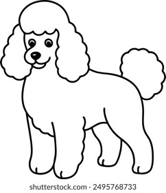 Pudel Hund, Vektorformat, Clipart , Illustration mit weißem Hintergrund