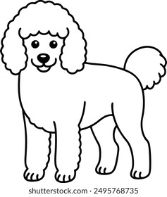 Pudel Hund, Vektorformat, Clipart , Illustration mit weißem Hintergrund