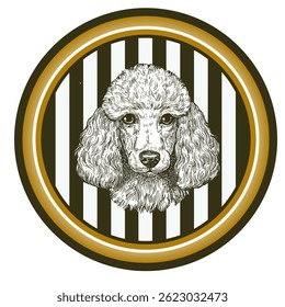 Poodle head realistic ink vector illustration. Dog drawing in a circle. Ceramic, porcelain plate design composition with dog portrait. Hand drawn design for emblem, tableware, apparel.