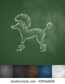 poodle icon. Hand drawn vector illustration