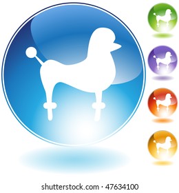 Poodle icon isolated on a white background.
