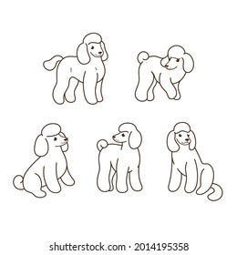 Poodle icon set. Different type of  poodle. Vector illustration for prints, clothing, packaging, stickers.