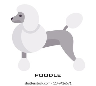 Poodle icon signs