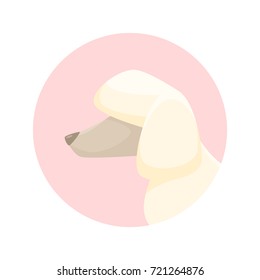 Poodle icon vector