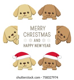 Poodle illustration set