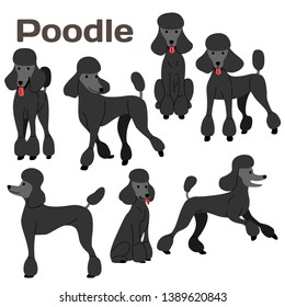 poodle illustration,dog poses,dog breed,poodle in action