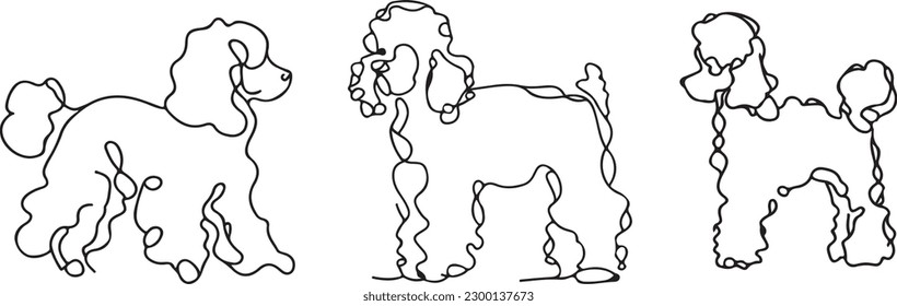 Poodle Line art vector silhoutte