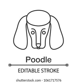 Poodle linear icon. Thin line illustration. Dog breed. Contour symbol. Vector isolated outline drawing. Editable stroke