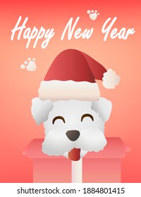 Poodle and Merry Christmas and poster  and Happy new year