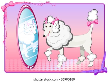  the poodle and the mirror
