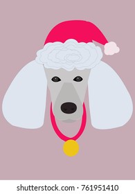Poodle in New Year hat vector illustration.