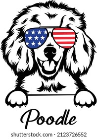 Poodle Peeking Dog With Cool Sunglasses With American Flag On It Cute Poodle Vector Image