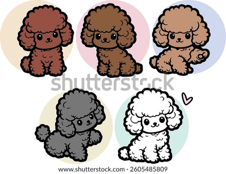 poodle pet dog breed line art illustration vector colorful 