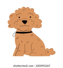 Poodle puppy in flat style. Vector illustration