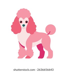 Poodle Puppy at the Groomer Vector Illustration