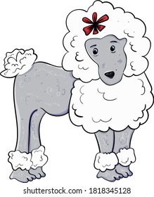 Poodle with red bow on the head. Hand drawn vector illustration