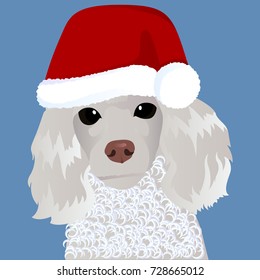 Poodle in Santa cap close up vector illustration