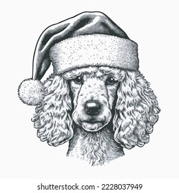 Poodle Santa Hat Vector Illustration Tshirt Design Logo Icon Christmas Greeting Card