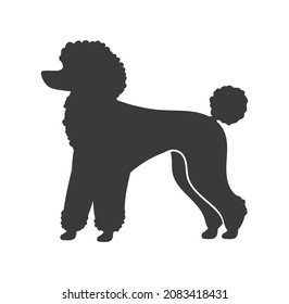 Poodle silhouette. Decorative domestic shaggy dog, vector icon isolated on white background