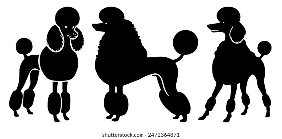 Poodle Silhouette: Dog Breed, Canine Outline, Pet Animal, Flat Vector Illustration