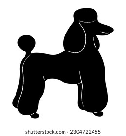 Poodle silhouette. Doodle black and white vector illustration.