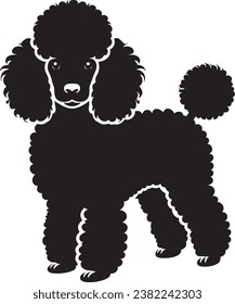 Poodle Silhouette auf weißem Hintergrund