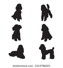 poodle silhouette set collection isolated black on white background vector illustration