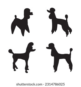 poodle silhouette set collection isolated black on white background vector illustration