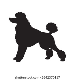 Poodle silhouette vector flat illustration design.