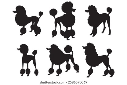 Poodle Silhouettes vector Illustration Set