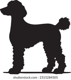 Poodle silhuette animal white background images