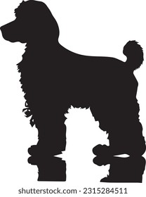 Poodle silhuette animal white background images