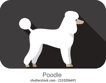 Poodle standing and watching, side view cartoon, vector illustration