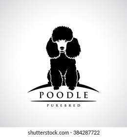 Poodle symbol - vector illustration