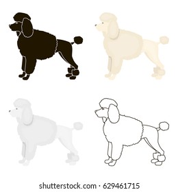 Poodle Vector Icon In Cartoon Style For Web