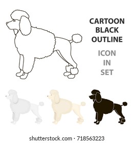 Poodle vector icon in cartoon style for web