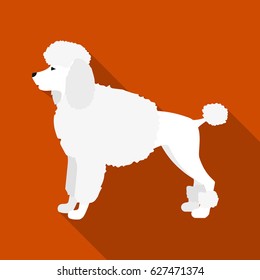 Poodle Vector Icon In Flat Style For Web