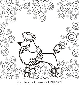 Poodle vector illustration