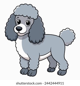 Poodle vector illustration isolated on white background in cartoon style