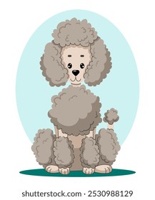 Poodle. Vector illustration of sitting dog in flat style.