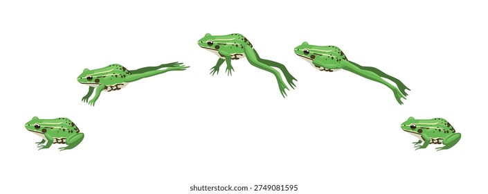 Pool Frog Jumping Movement Animation Frame