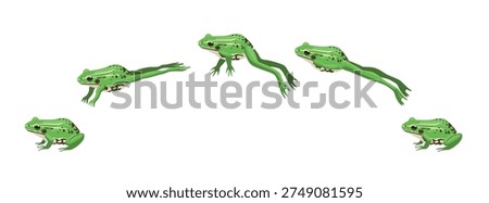 Pool Frog Jumping Movement Animation Frame