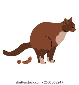 Pooping cat. Maintenance and care of pets. Responsibility for the pet and the environment. Vector cartoon illustration isolated on a transparent background.