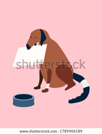 Poor homeless dog with a wounded tail and paw is begging on the street with a cardboard box in its mouth.Animal shelter, donations, fundraising for food and treatment concept.Social flat vector poster