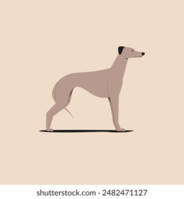 Poor hungry street dog standing vector art